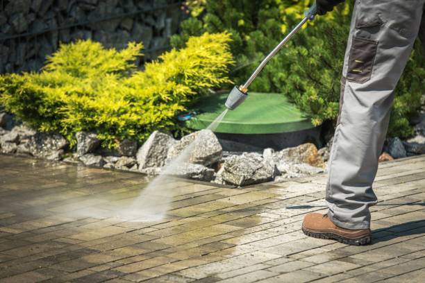 Best Soft Washing  in Williston, FL
