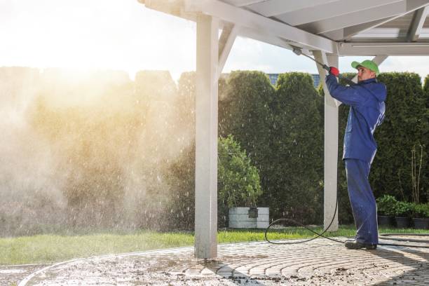 Best Sign and Awning Cleaning  in Williston, FL