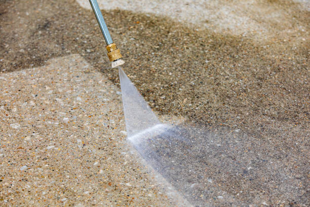 Best Sidewalk and Walkway Cleaning  in Williston, FL