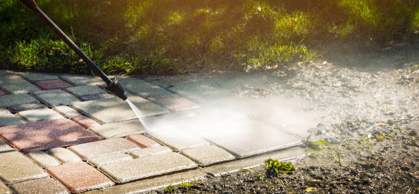 Best Graffiti Removal  in Williston, FL