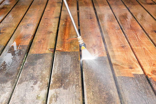 Best Solar Panel Cleaning  in Williston, FL