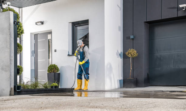 Best Historic Building Restoration  in Williston, FL